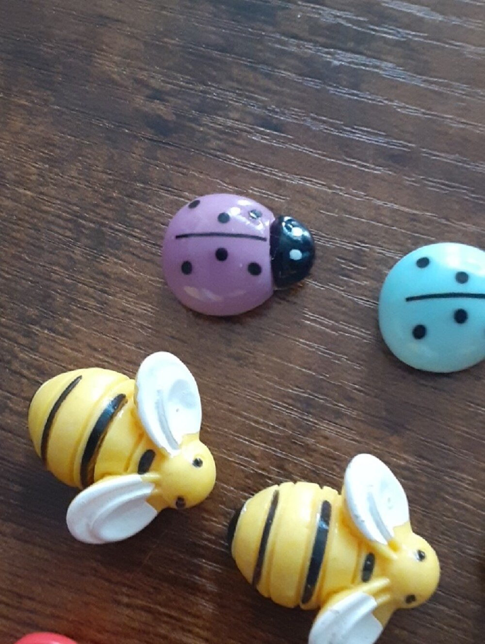 Bees, Ladybugs & Flowers Magnets - Picture 3 of 5